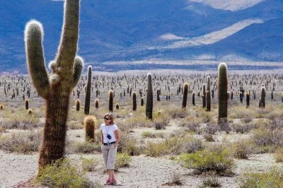 Feel the andes on a day trip from salta to cachi—wind up cuesta del obispo, spot condors, taste local cheese, and wander colonial streets. includes pickup.