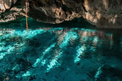 Nade em cinco cenotes escondidos perto de playa del carmen, com guia local, transporte incluso e almoço fresquinho. fuja da multidão e mergulhe em piscinas secretas na selva.