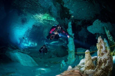 Scopri i cenote di tulum con due immersioni guidate per sub certificati. immergiti a casa cenote e dos ojos, attrezzatura inclusa, gruppi piccoli, nessun costo nascosto.