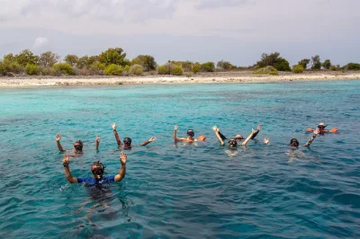 Feel the calm of bonaire’s reefs on a guided snorkeling trip with two stops, snacks, drinks, and flexible hotel or cruise pickup—gear and local guide included.