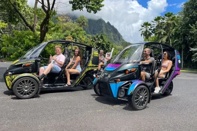Feel the breeze as you drive your own fuv through kauai’s poipu & kapaa, stopping at wailua falls, old koloa town & more. includes rental, bluetooth & usb.