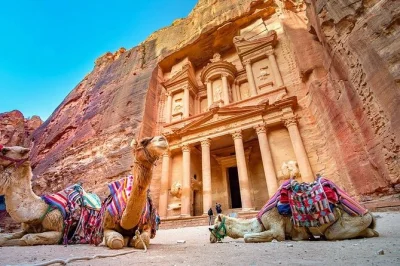 Step into petra with a private guide, walk hidden trails, see the treasury up close, and catch panoramic views—includes hotel pickup for easy start.