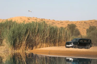 Wake up in dubai for a conservation drive through the desert, spot oryx and gazelles, and share breakfast at al maha resort—includes hotel pickup and local guide.