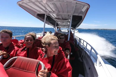 Siente la brisa marina en una excursión de un día a isla rottnest desde perth o fremantle, con ferry, crucero para avistar fauna y tiempo para nadar o andar en bici. incluye guía local.