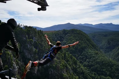 Descubre la ruta jardín en un safari de 3 días desde ciudad del cabo, observa leones de cerca, haz kayak en wilderness y vive el salto bungy en bloukrans. incluye safaris en 4x4 y alojamiento compar