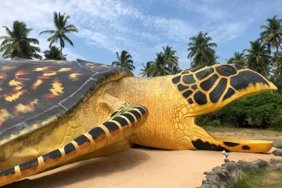 Explore galle fort, cruise bentota river, and meet sea turtles in kosgoda on a private day tour. air-conditioned ride, family-friendly, local insights.