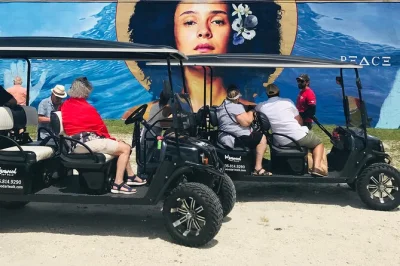 Entdecke wynwood in miami mit dem golfcart, bewundere berühmte murals und genieße craft beer in zwei lokalen brauereien. kleine gruppen, sympathischer guide.