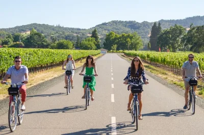 Feel the breeze on a sonoma valley pedal assist bike tour with two winery tastings, picnic lunch, and behind-the-scenes vella cheese factory stop. includes pickup.