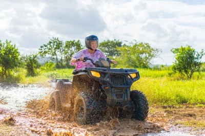 Feel the rush near montego bay with atv rides, horseback swimming, rainforest ziplining, and a guided dunn’s river falls climb. includes pickup and lunch.
