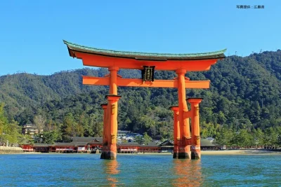 Hiroshima, miyajima, cupola della bomba atomica: vivi la storia e la spiritualità in un tour completo con traghetto, ingresso ai musei e partenza facile dalla città.