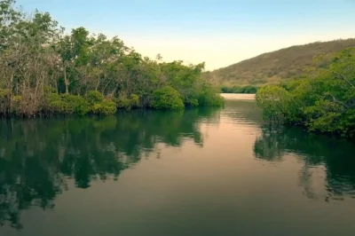 Feel the glow in puerto rico’s la parguera bio bay, taste don q rum at el castillo seralles, and enjoy fresh tacos on this small-group day trip with hotel pickup.