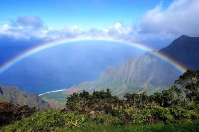 Scopri la bellezza selvaggia del waimea canyon a kauai, assaggia il caffè fresco alla kauai coffee company e osserva le tartarughe marine a poipu beach con guida privata e pickup in hotel.