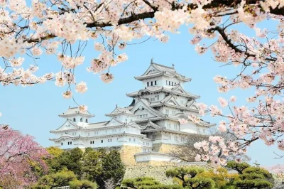 Erlebe die beeindruckende ruhe von himeji castle, schlendere durch den koko-en garten und gestalte deine private halbtagestour mit lizenziertem guide ganz nach deinen wünschen. flexible abholung inkl