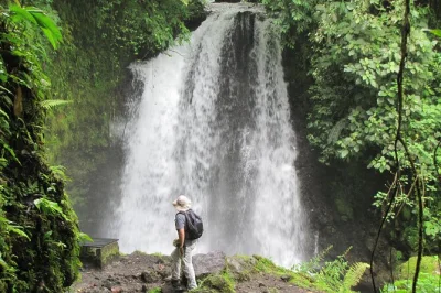 Scopri arenal observatory lodge con un pass giornaliero. cammina tra i sentieri della foresta pluviale, osserva la fauna, visita la torre nest e la cascata danta. ideale per gli amanti della natura.