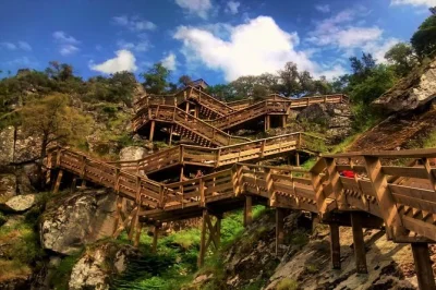 Inizia dal vivace centro di porto, attraversa la passerella sospesa 516 di arouca, cammina lungo le passerelle paiva, gusta un pranzo tipico portoghese e scopri le case a righe di costa nova, tutto co