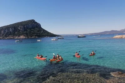 Descubre la tranquilidad de cala moresca en kayak, avista delfines cerca de figarolo y disfruta un aperitivo típico sardo con guías locales. equipo y apoyo incluidos.