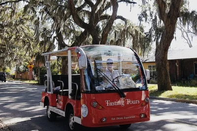 Découvrez st. augustine autrement avec un tour gourmand en véhicule électrique, guidé par des locaux, incluant quatre arrêts dégustation dans des lieux uniques.