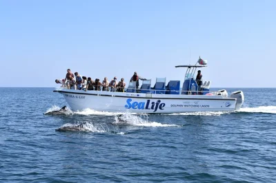 Feel the atlantic wind on a lagos dolphin watching safari guided by marine biologists. real-time insights, small group boats, and marine life up close—includes all fees.