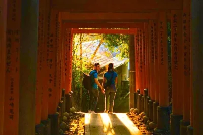 Descubra o santuário fushimi inari em kyoto iluminado por lanternas à noite, com guia local em inglês. evite multidões, aproveite o ar fresco e ouça histórias fascinantes do santuário.