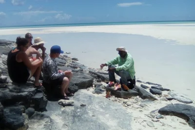 Feel the sand at gold rock beach, wander lucayan caves, and taste local dishes on this grand bahama day trip with a small group and guide—includes pickup.