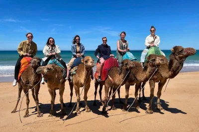 Feel the pulse of tangier on a private tour with kasbah, cape spartel, camel ride by the atlantic, and local markets. includes hotel pickup and a local guide.