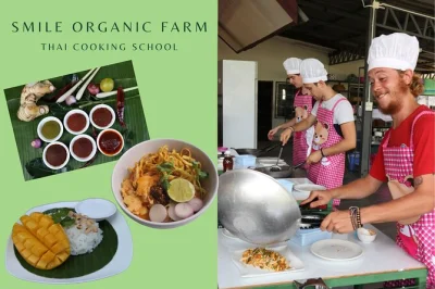 Let curiosity lead you from chiang mai to an organic farm, hands-on thai cooking, local market stops, and a relaxed meal with garden-fresh flavors. includes pickup.