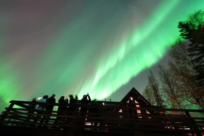 Disfruta de las auroras boreales cerca de fairbanks desde una acogedora cabaña en alaska, con vistas desde la cima, snacks y bebidas calientes. incluye recogida en hotel y estancia nocturna.