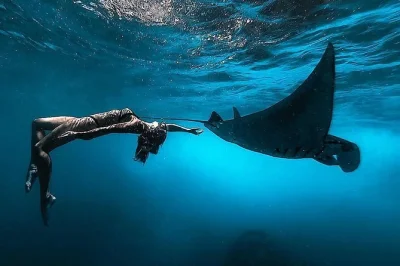 Swim with manta rays and turtles on a nusa penida snorkeling tour from bali, visit kelingking beach, enjoy a private car, lunch, and all-inclusive transport.