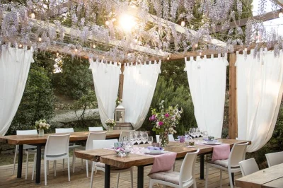 Descubra uma vinícola orgânica familiar perto de san gimignano com passeio guiado, degustação de 8 vinhos, queijos locais, azeite e sobremesa com vin santo. acesso para cadeirantes.