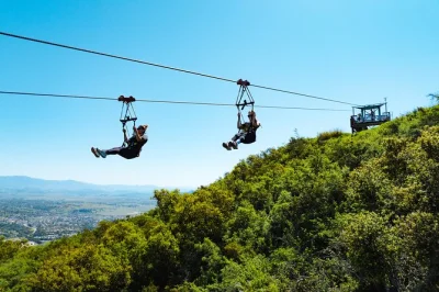 Erlebe kaliforniens längste zipline bei santa barbara – über dem santa ynez valley und blühenden protea-feldern. inklusive ausrüstung und erfahrenen guides.