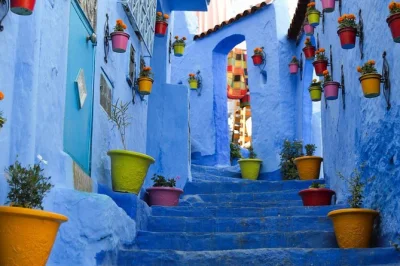De marrakech à chefchaouen, découvrez la médina millénaire de fès, flânez dans les ruelles bleues, visitez la tour hassan à rabat et la grande mosquée de casablanca. transfert hôtel et guides