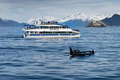 Descubre los glaciares de aialik bay, avista ballenas y frailecillos, y disfruta un almuerzo mientras navegas en este crucero de 6 horas por kenai fjords con asientos calefactados y guía local.