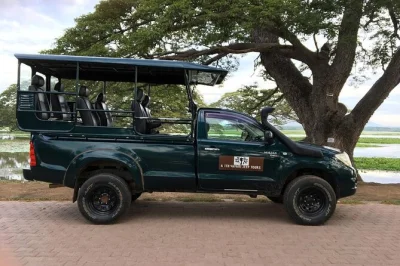 Wake up early for a real yala safari, spot leopards and elephants, share lunch under the trees, and ride with a local guide. includes hotel pickup and meals.