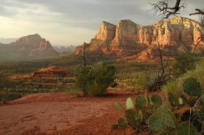 Feel the spirit of sedona’s red rocks, explore montezuma castle ruins, and enjoy time for art, shops, or a psychic reading—includes pickup and local guide.