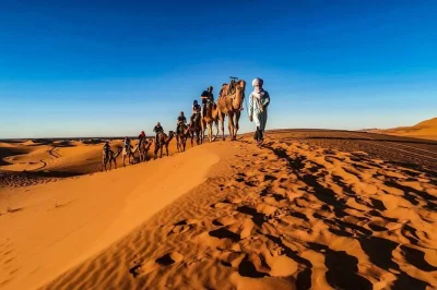 Wake up in fez, cross cedar forests, ride camels over erg chebbi dunes, and wander todra gorge on this 3-day morocco journey—includes hotel pickup and driver-guide.