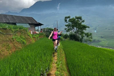 Wake up to sapa’s misty valleys, trek through muong hoa rice terraces, visit hmong villages, and share tea with locals. includes pickup and lunch.