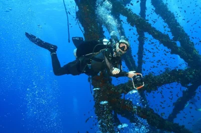 Feel the thrill of diving at koh chang’s htms chang shipwreck and vibrant reefs, with hotel pickup, lunch, gear, and a local guide included for certified divers.