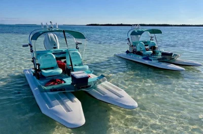 Key west erleben: mini-catamaran-tour durch mangroven, baden an sandbänken, tierbeobachtungen und entspanntes cruisen mit lokalem guide. alles equipment inklusive.