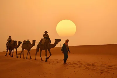 Découvrez le maroc de marrakech à merzouga, entre kasbahs anciennes, balades à dos de chameau au coucher du soleil et nuits étoilées dans le désert. transfert et guide local inclus.