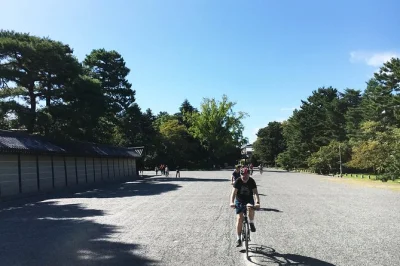 Descubra kyoto de bike, do pavilhão dourado ao fushimi inari, com guia local, almoço e grupo pequeno. inclui bike, capacete e água.
