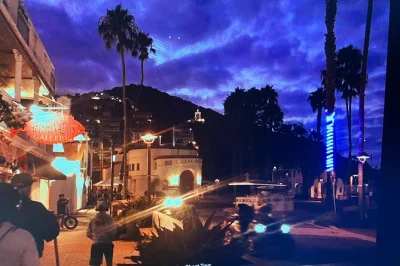 Erkunde avalons geheimnisvolle gassen mit einem lokalen historiker, hör echte geistergeschichten und entdecke catalinas unheimliche vergangenheit – inklusive audiokopfhörer.