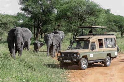 Wake up to lions in the serengeti, picnic by tarangire’s baobabs, and watch flamingos at lake manyara. includes all lodges, meals, and airport pickup.