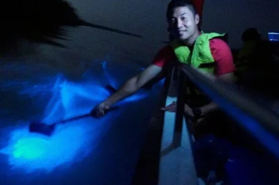 Watch fireflies light up the mangroves, spot “blue tears” on a night boat ride, and explore melawati hill in kuala selangor. includes tickets and pickup.