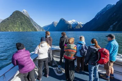 Milford sound, cascate bowen, foche e delfini: vivi una crociera di 2 ore vicino a mitre peak. include tè, caffè e opzioni per bambini.
