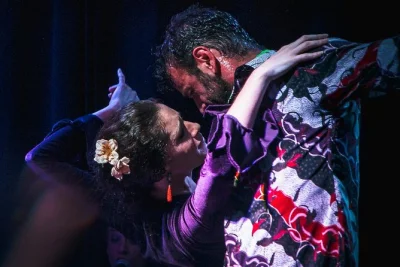 Sinta a energia de sevilha em um show de flamenco em triana, com música ao vivo, dança apaixonada e vista para o rio. acesso para cadeirantes e reserva fácil online.
