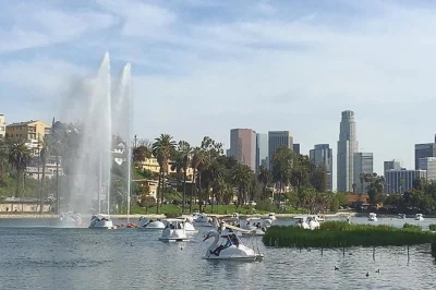 Deslize pelo echo park lake em um pedalinho cisne, passeando entre flores de lótus e curtindo momentos leves com amigos. coletes salva-vidas inclusos e horários flexíveis—pode levar lanches a bor