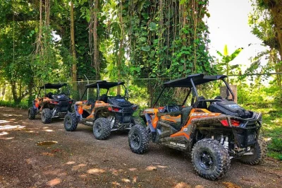 Feel the pulse of jamaica on an atv ride from montego bay, swim in mineral pools, taste blue mountain coffee, and share a home-cooked lunch with locals. includes pickup.