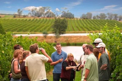 Descubre los mejores vinos del yarra valley en una excursión desde melbourne. incluye cuatro degustaciones, almuerzo en viñedo y recogida con guía local experto.