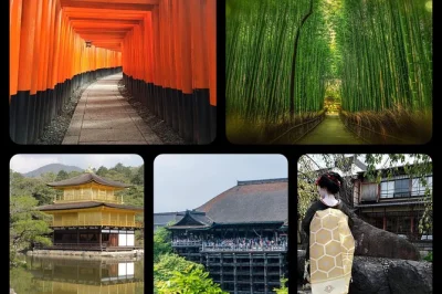 Descubra kyoto de bike o dia todo — explore a floresta de bambu, os portões vermelhos de fushimi inari e o pavilhão dourado com almoço e guia local inclusos.