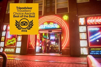 Scopri i segreti di amsterdam con un tour nel quartiere a luci rosse, tra chinatown e piazza dam. guida locale e punto d’incontro comodo inclusi.